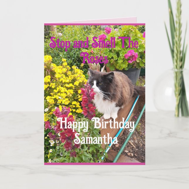 Tuxedo Cat Sniffing Flowers Funny Birthday Roses Kort (Framsida)