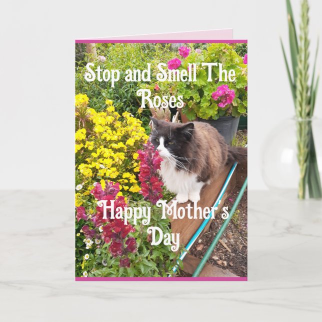 Tuxedo Cat Sniffing Flowers Funny Mothers Day Pink Kort (Framsida)