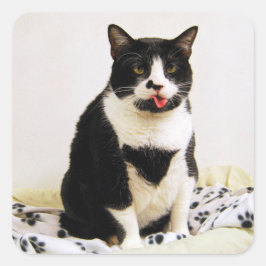 Tuxedo Cat som håller ut hennes tunga Fyrkantigt Klistermärke