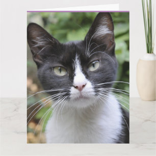 TUXEDO CAT TÄNKANDE AV DIG HÄNGKORT KORT