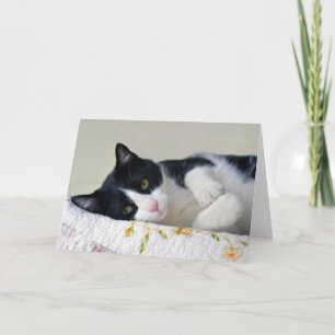 Tuxedo Cat - tankfull Kort