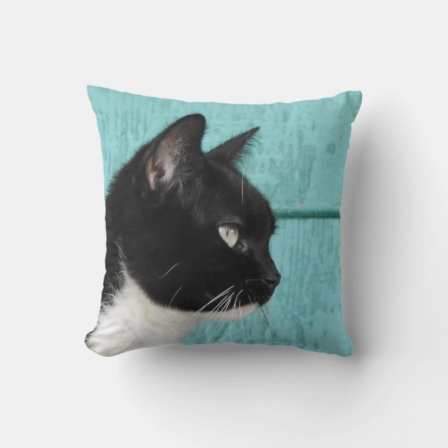Tuxedo Cat Teal Blue Background Kudde (Framsida)