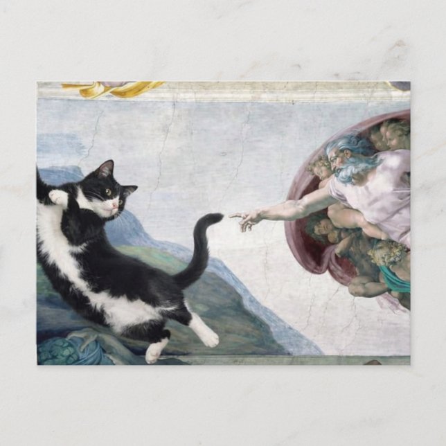 Tuxedo Cat Touching the Divine Paw                 Vykort (Framsida)