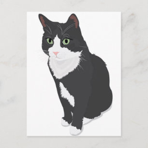 Tuxedo Cat Vykort