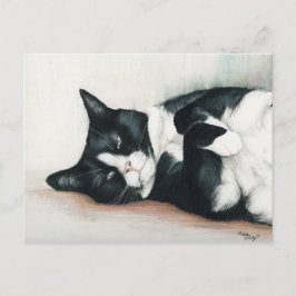 "Tuxedo Cat"-vykort Vykort
