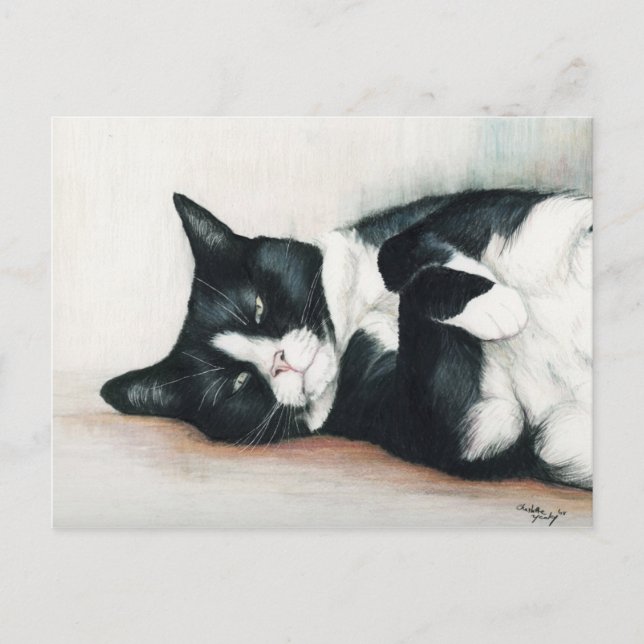 "Tuxedo Cat"-vykort Vykort (Framsida)