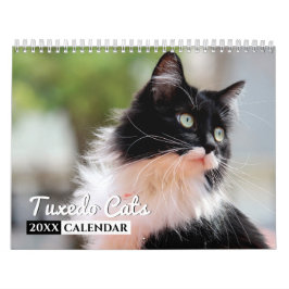 Tuxedo Cats Photo Wall Calendar Kalender