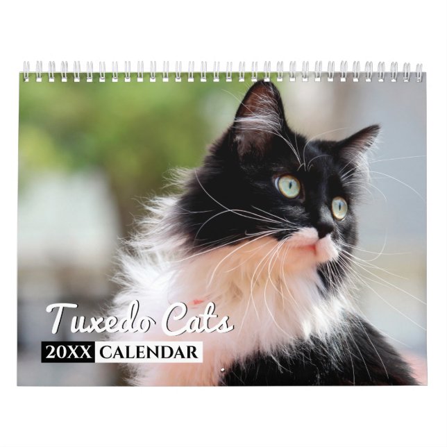 Tuxedo Cats Photo Wall Calendar Kalender (Omslag)