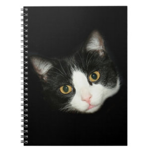 Tuxedo-katt Anteckningsbok