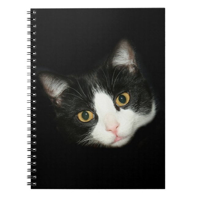 Tuxedo-katt Anteckningsbok (Framsidan)