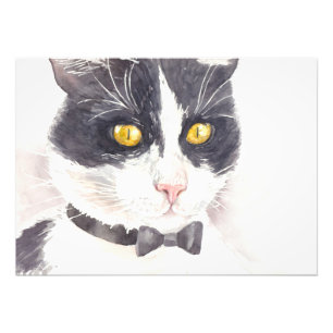 Tuxedo-katt Fototryck