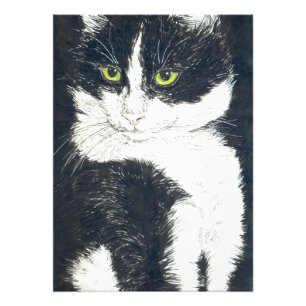 Tuxedo-katt Fototryck