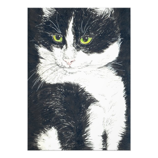 Tuxedo-katt Fototryck (Framsidan)