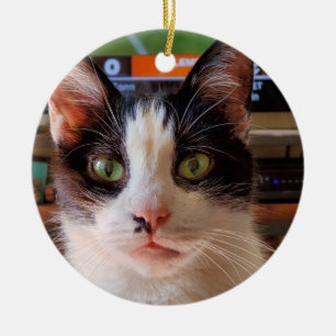 Tuxedo-katt Julgransprydnad Keramik