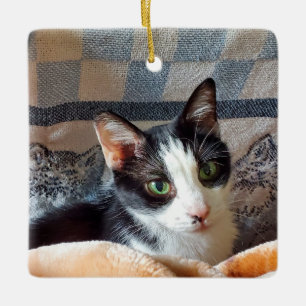 Tuxedo-katt Julgransprydnad Keramik