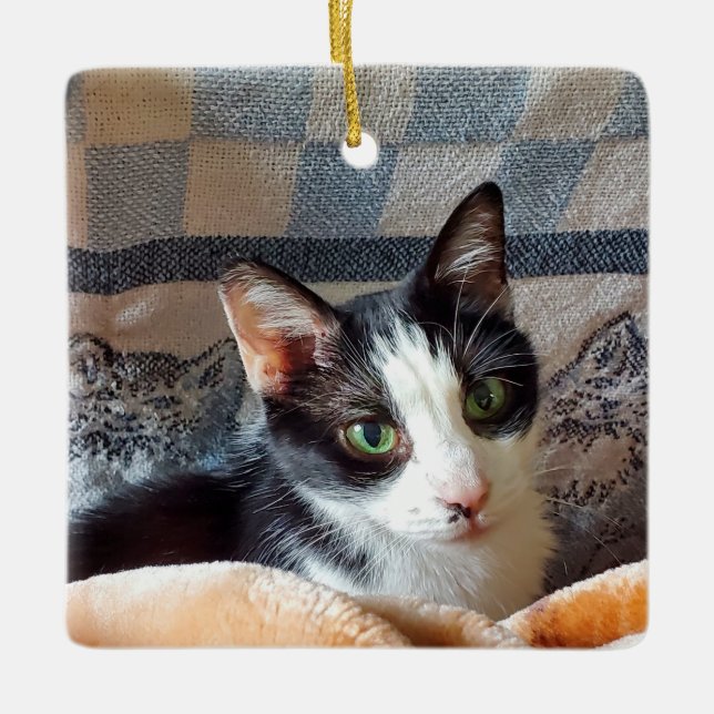 Tuxedo-katt Julgransprydnad Keramik (Framsida)