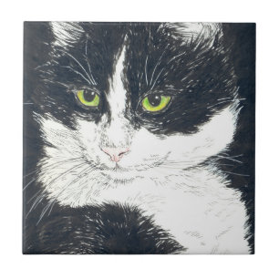 Tuxedo-katt Kakelplatta