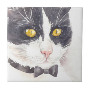 Tuxedo-katt Kakelplatta