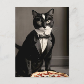Tuxedo-katt och pizza vykort