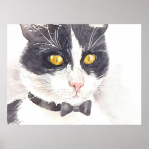 Tuxedo-katt Poster