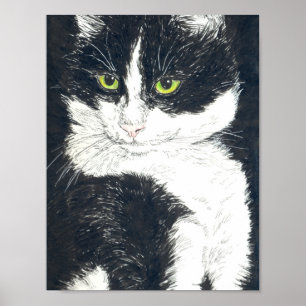 Tuxedo-katt Poster