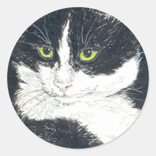 Tuxedo-katt Runt Klistermärke