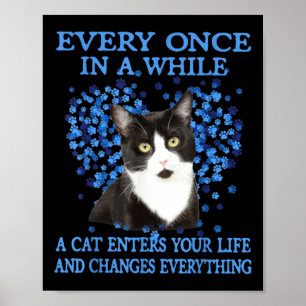 Tuxedo-katt varje Gång i ett ögonblick när ett kat Poster