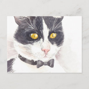 Tuxedo-katt Vykort
