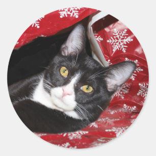 Tuxedo-kattjul Runt Klistermärke