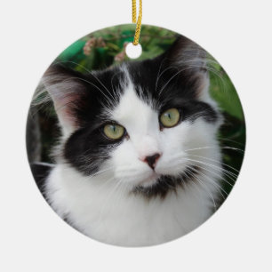 Tuxedo-kattornament Julgransprydnad Keramik