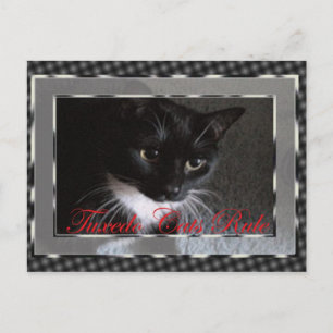 Tuxedo-kattregel Vykort