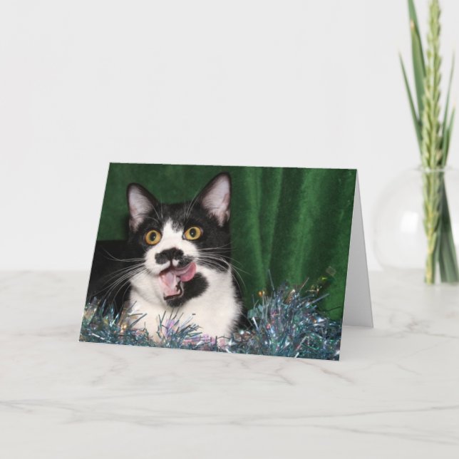 Tuxedo kattunge jul helgkort (Framsida)