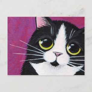 Tuxedo Kattunge på vykort för Rosa