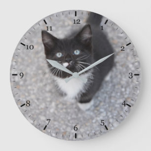 Tuxedo-kattunge Stor Klocka