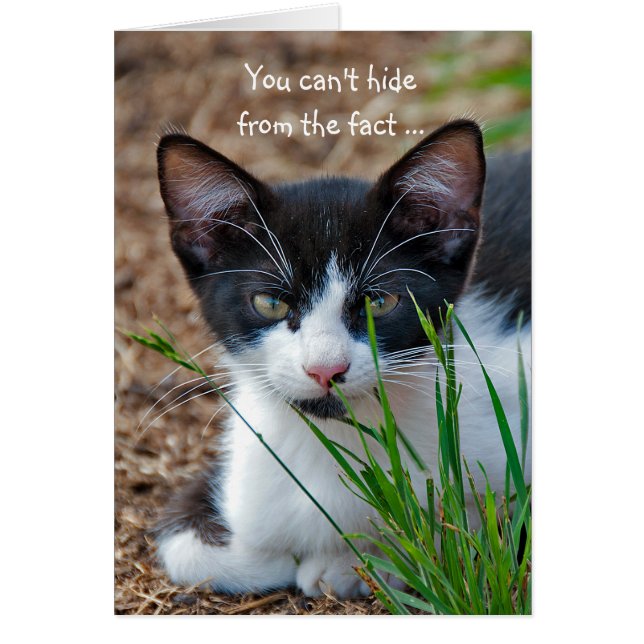 Tuxedo-kattungen gömmer bakom gräs hälsningskort (Framsidan)