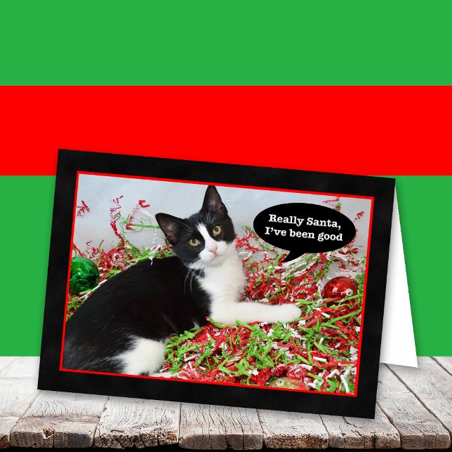 Tuxedo Kitten Cat-julkort Helgkort (Skapare uppladdad)