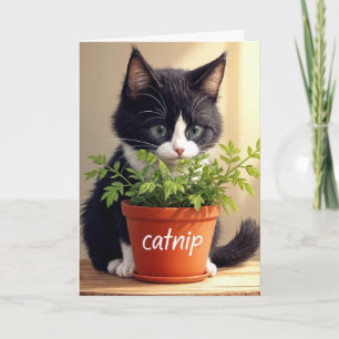 Tuxedo Kitten från födelsedagen med katnip Plant Kort
