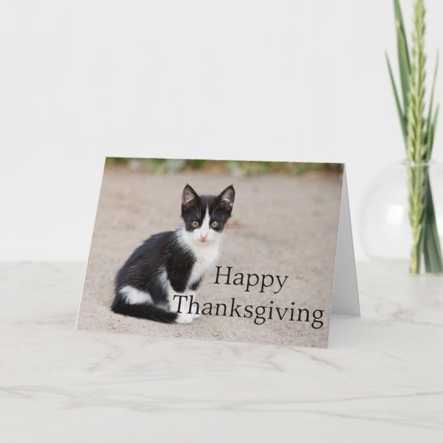 Tuxedo Kitten: Happy thanksgiving-hälsningskort: Helgkort (Framsida)