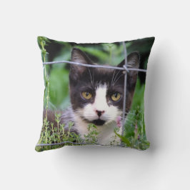Tuxedo Kitten i Garden Kudde