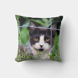 Tuxedo Kitten i Garden Kudde