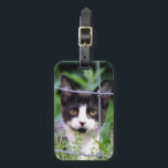 Tuxedo Kitten in the Garden  Bagagebricka<br><div class="desc">Close up of  Tuxedo Kitten named Xena in the Garden</div>