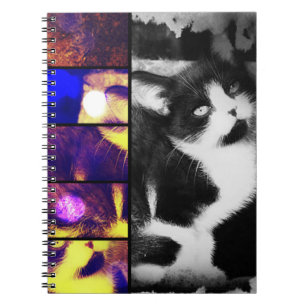 Tuxedo Kitten Photo Art bärbar dator Anteckningsbok