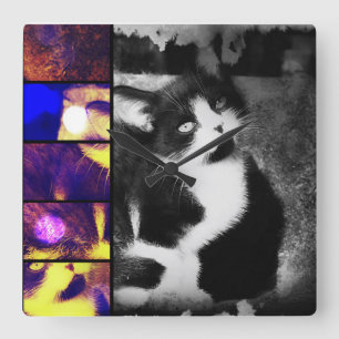 Tuxedo Kitten Photo Art Wall Clock Fyrkantig Klocka