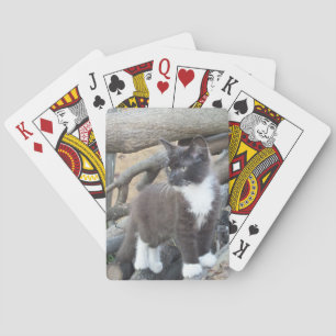 Tuxedo Kitten Spel Kort