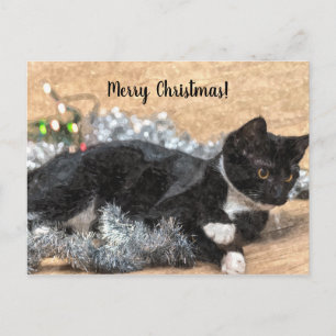 Tuxedo Kitten Tinsel och Ljus julaffär Vykort