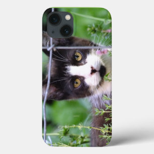 Tuxedo Kitten Xena i Garden iPad-väskan
