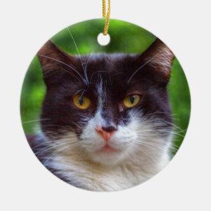 Tuxedo Porträtt Julgransprydnad Keramik