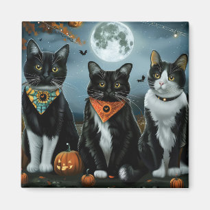 Tuxedokatt Halloween Kuslig Magnet