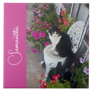 Tuxedokatt Katter och blommor Flicknamn Mörkrosa Kakelplatta