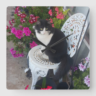 Tuxedokatt Maroon Mörk Rosa Katter och Blommor Fyrkantig Klocka